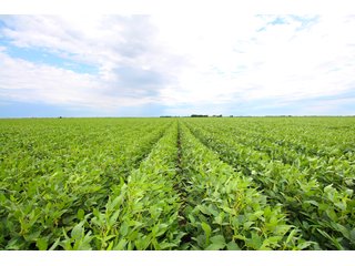 Tract 2 - Reno County, KS farmland - LAND AUCTION - 647+/- ACRES OFFERED IN 4 TRACTS IN RENO & EDWARDS COUNTY, KANSAS